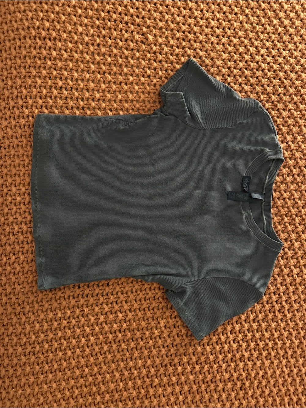 SKIMS cotton rib tee in harbour